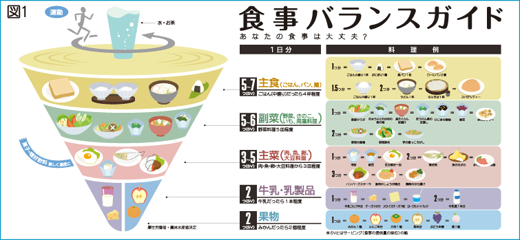 食事バランスガイド