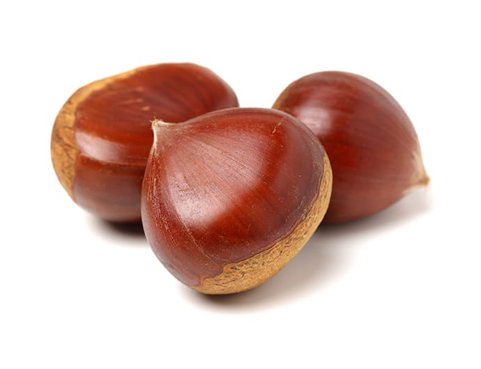 栗 まいにちの暮らしに安心 品質 お手頃感を アピタ ピアゴ