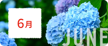 6月
