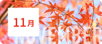 11月