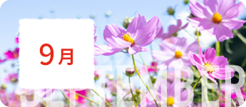 9月