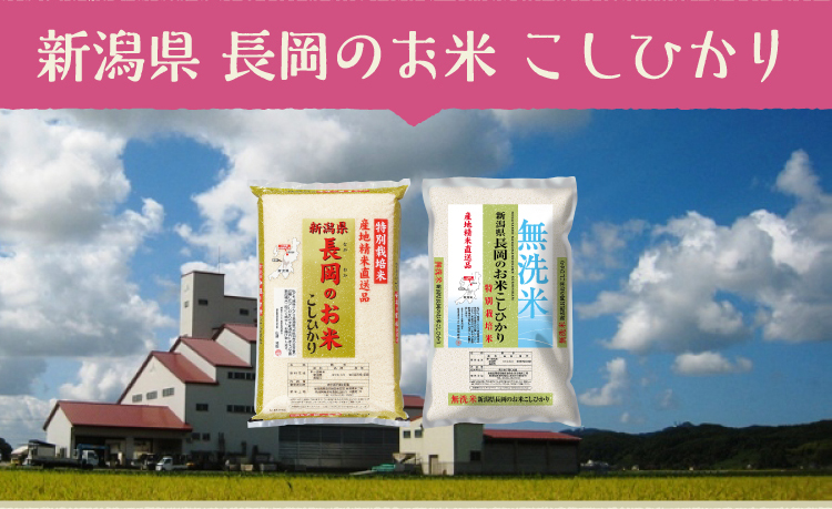 新潟県 長岡のお米 こしひかり