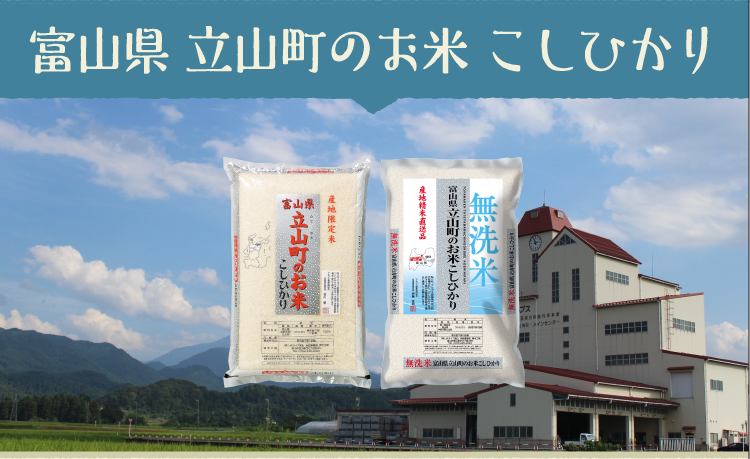 富山県 立山町のお米 こしひかり