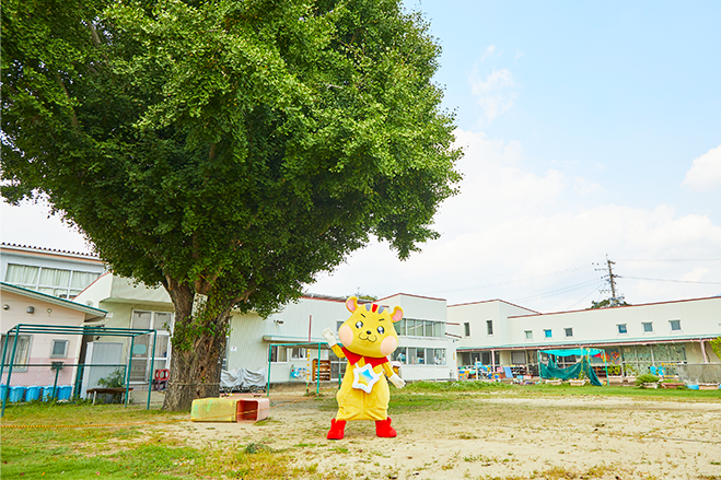 園庭にすごく大きな木がありました