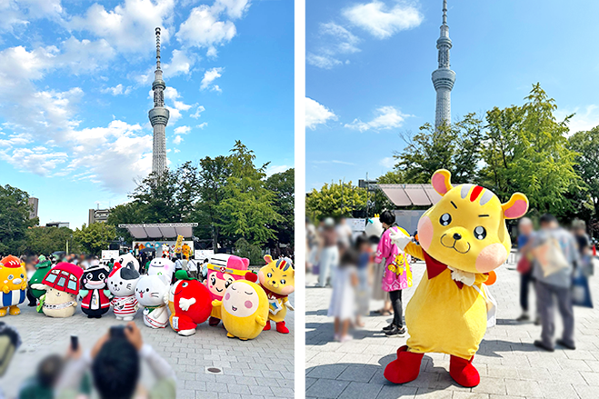 アピタンがゆるバース2025決選投票イベントに参加