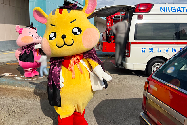 アピタパワー新潟亀田店にてハロウィンイベントを行いました★