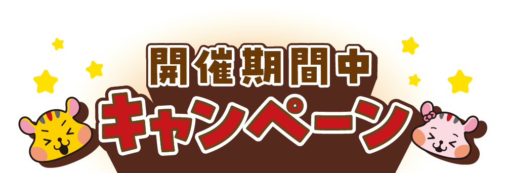 開催期間中キャンペーン