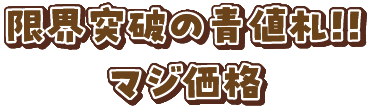 マジ価格