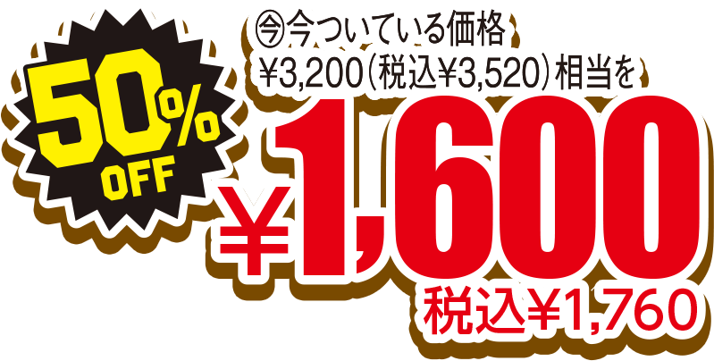 50%OFF 税込¥1,760