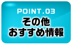 POINT3.その他おすすめ情報