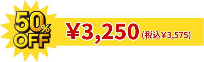 50%OFF ￥3,250円(税込￥3,575)