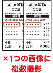 見本