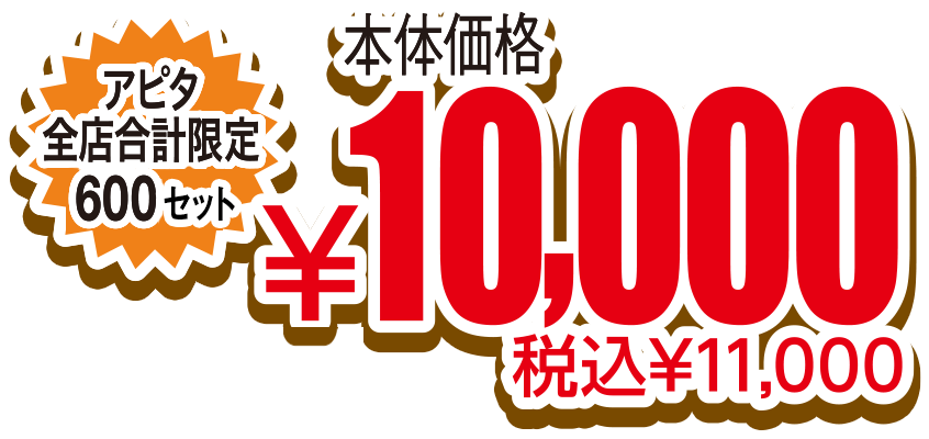 アピタ全店合計限定600台 税込¥11,000