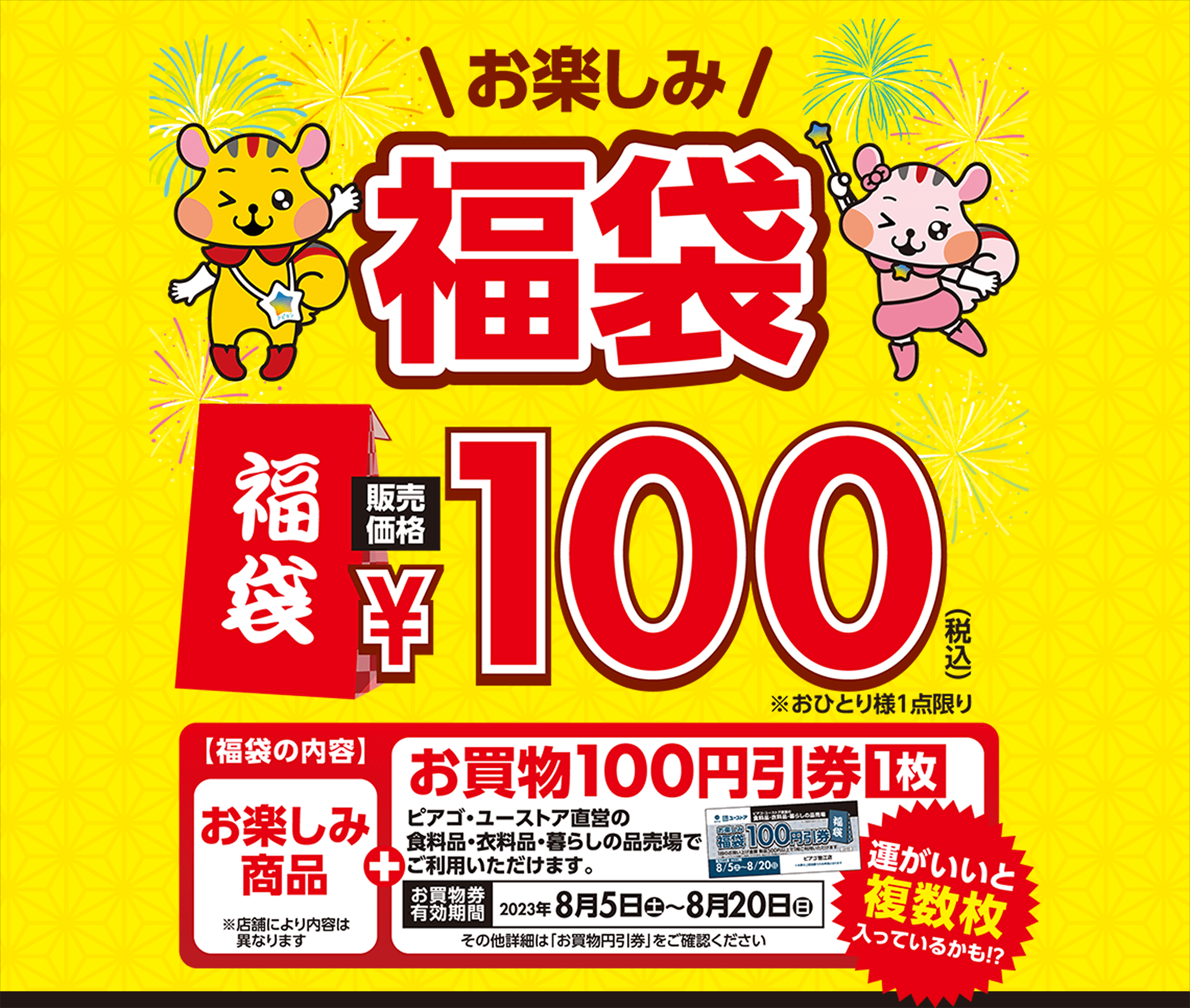 お楽しみ福袋 販売価格100円（税込）おひとり様1点限り