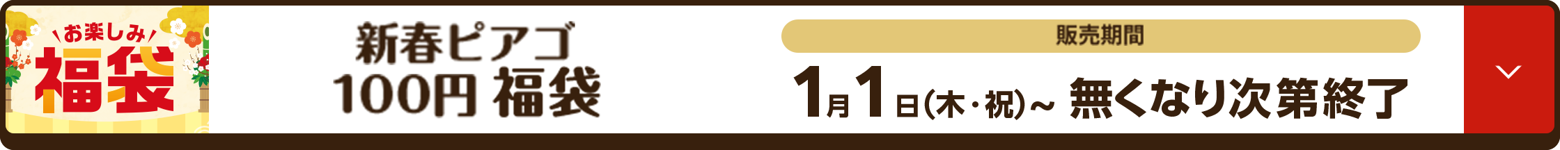 新春ピアゴ 100円・300円・500円福袋
