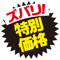ズバリ特別価格