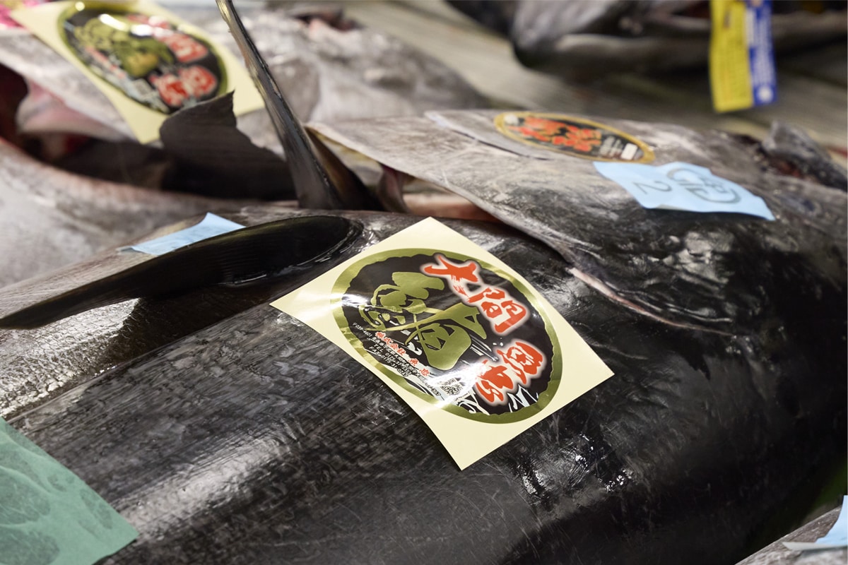 名古屋市中央卸売市場まぐろ初競りのようす