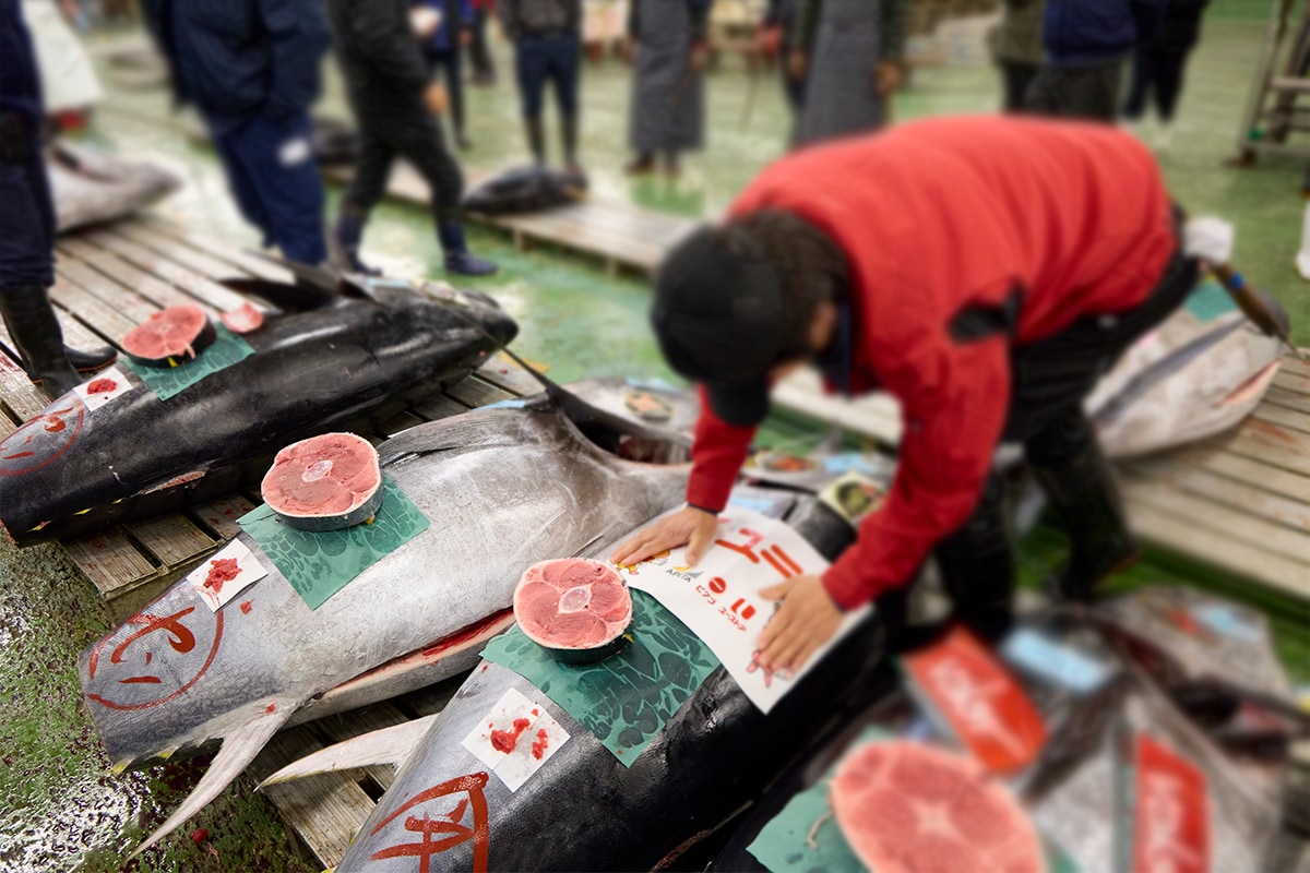 名古屋市中央卸売市場まぐろ初競りのようす