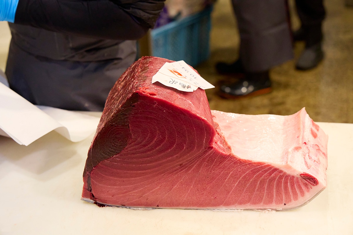 名古屋市中央卸売市場まぐろ初競りのようす