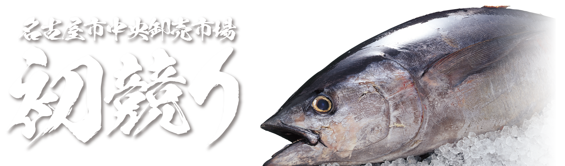名古屋中央卸売市場 初競り