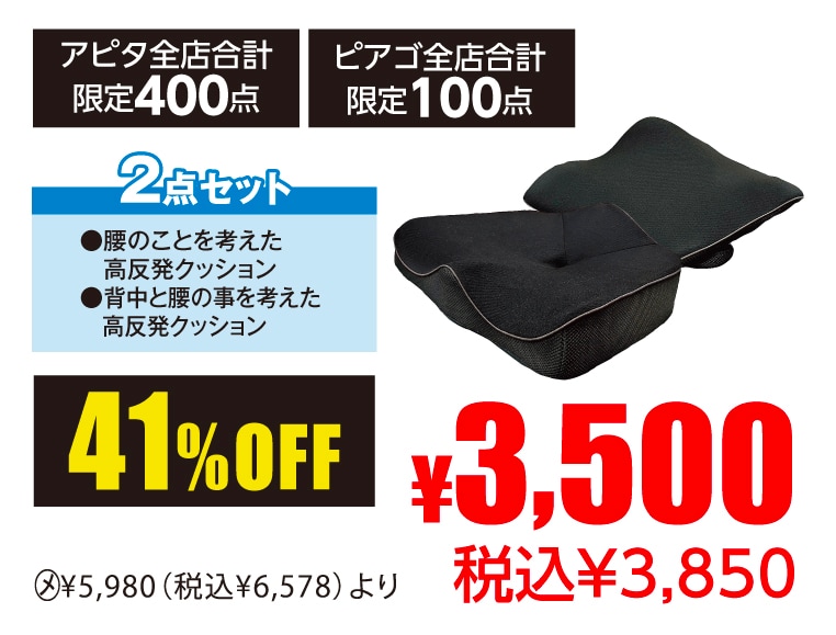 身体の事を考えたクッション2点セット