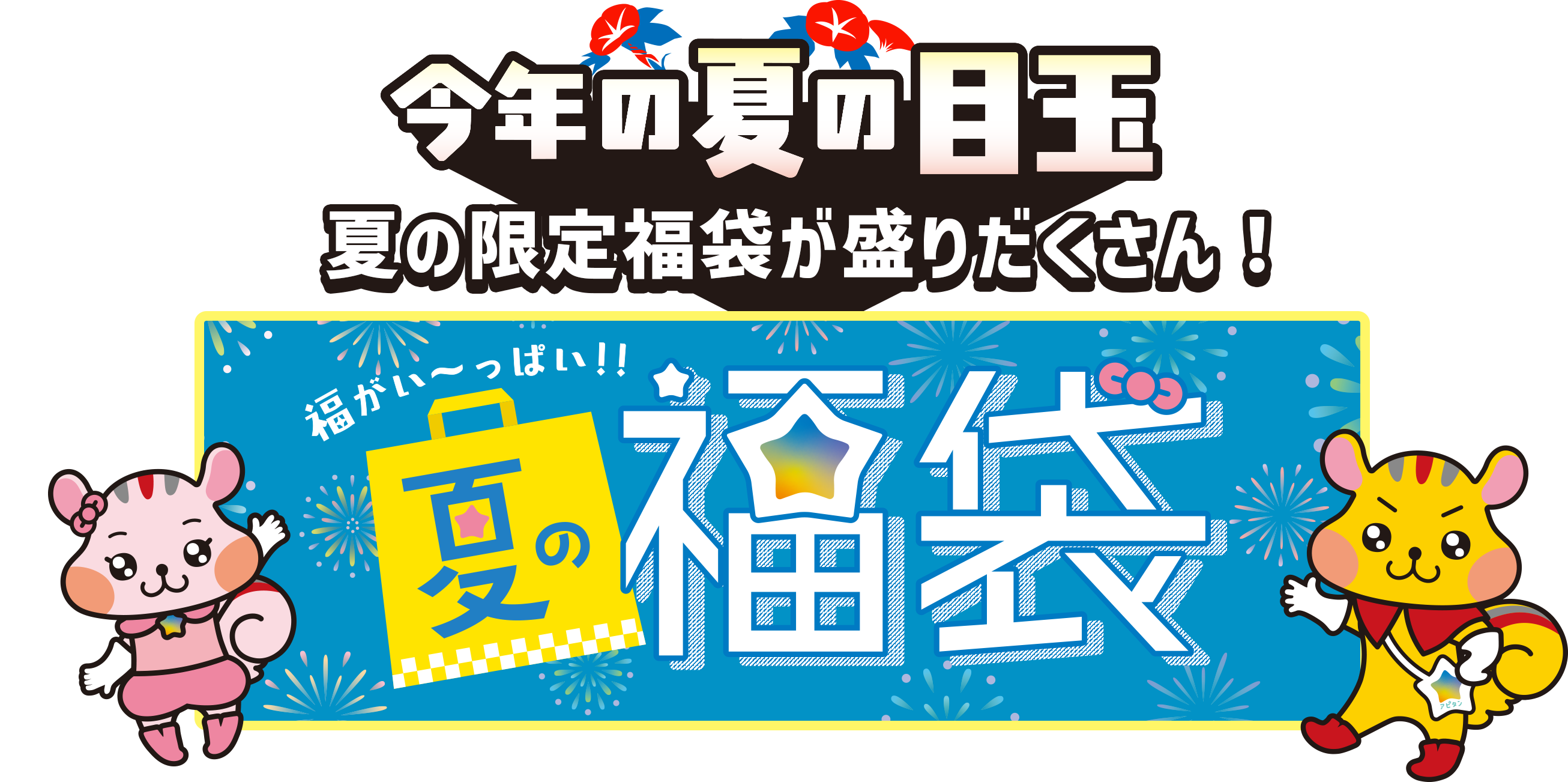 今年の夏の目玉 夏の限定福袋が盛りだくさん！