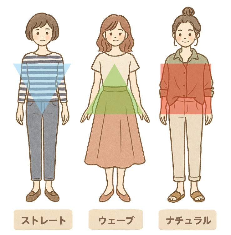 骨格タイプ図解