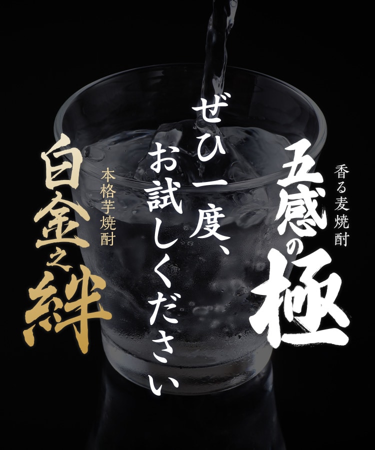 超レア☆優等焼酎新屋酒造泉の誉