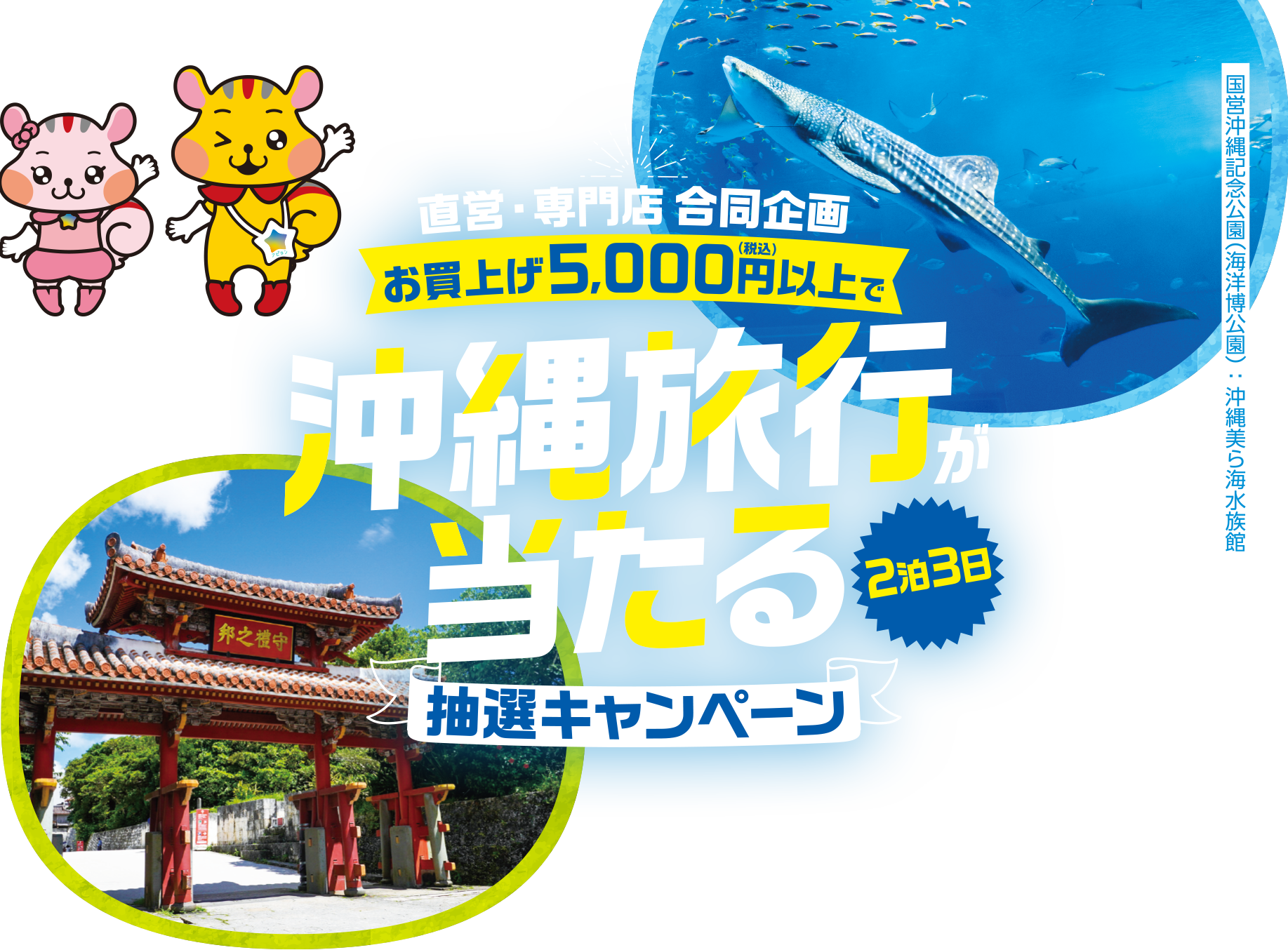直営・専門店 合同企画お買上げ5,000円以上で沖縄旅行(2泊3日)が当たる抽選キャンペーン