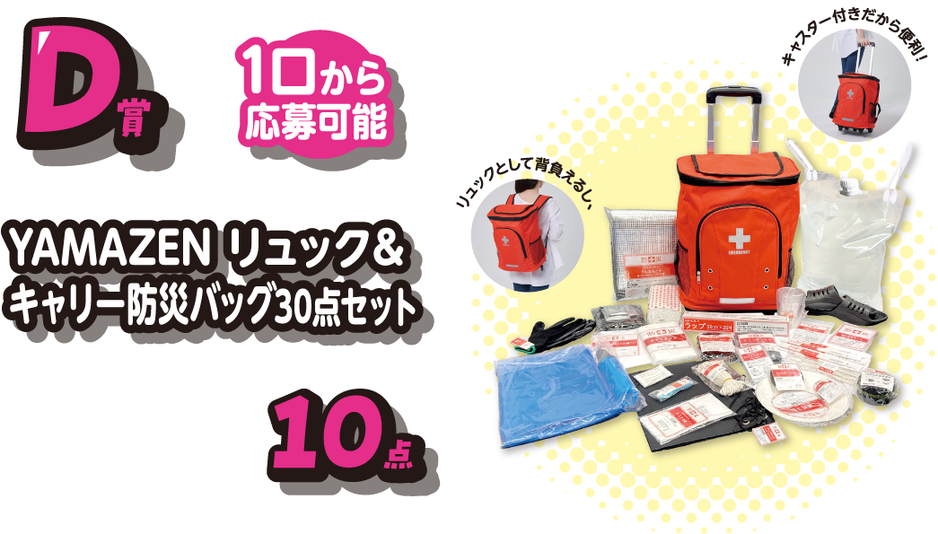 D賞YAMAZENリュック&キャリー防災バッグ30点セット10点