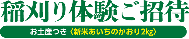 稲刈り体験ご招待 新米あいちのかおり2kgのお土産付き
