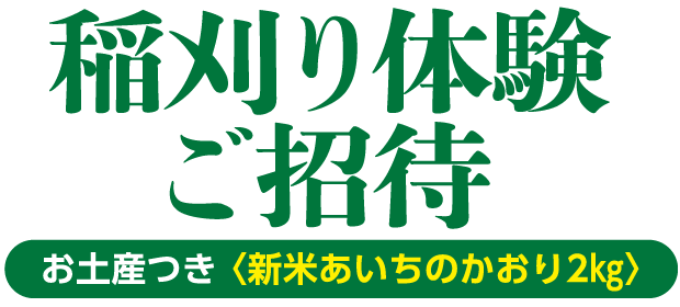 稲刈り体験ご招待 新米あいちのかおり2kgのお土産付き