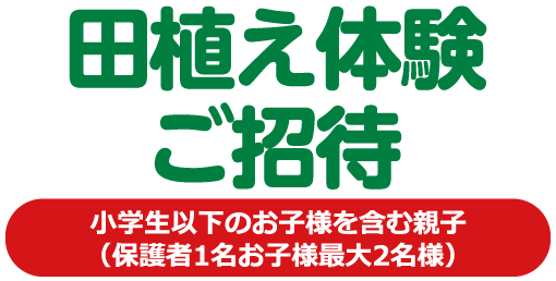 田植え体験ご招待