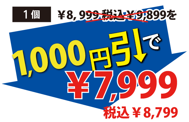 1000円引で7999円税込8799円