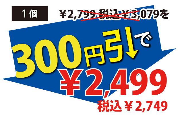 300円引で2499円税込2749円