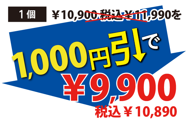 1000円引で9900円税込10890円
