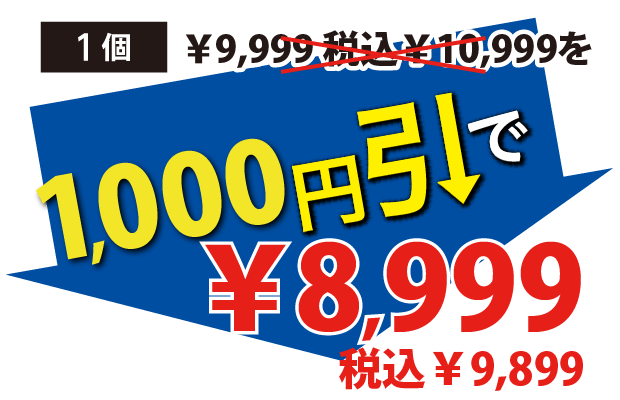 1000円引で8999円税込9899円