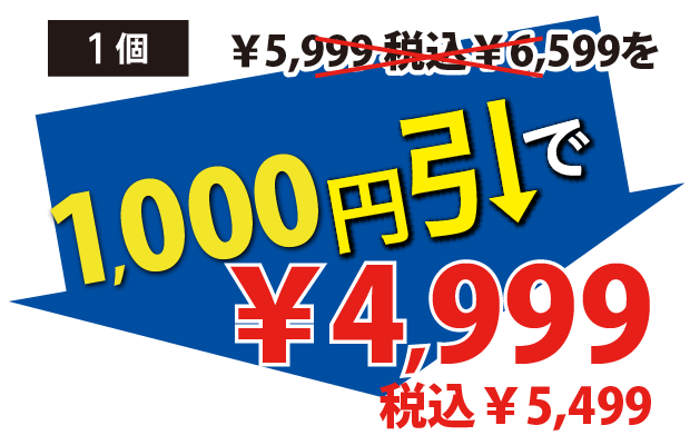 1000円引で4999円税込5499円