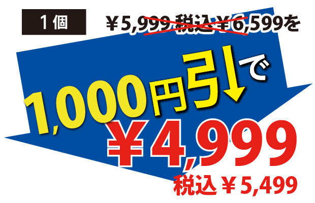 1000円引で4999円税込5499円