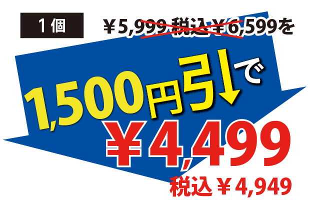 1500円引で4499円税込4949円
