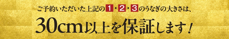 ご予約いただいた上記の1・2・3のうなぎの大きさは、30cm以上を保証します！ バナー