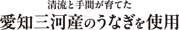 清流と手間が育てた 愛知三河産のうなぎを使用 テキスト