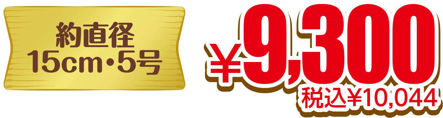 約直径15cm・5号 税込¥10,044