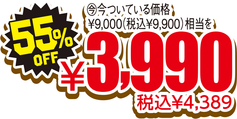 55%OFF 税込¥4,389