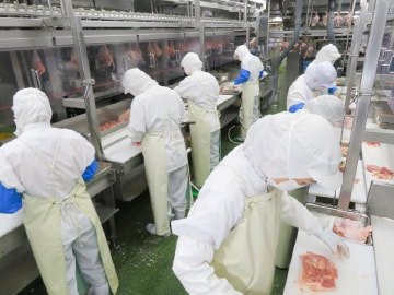生産加工の様子