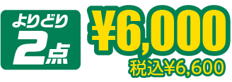¥6,000税込¥6,600