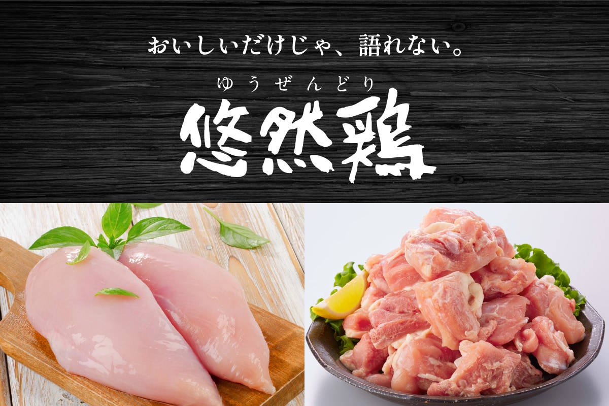 悠然鶏