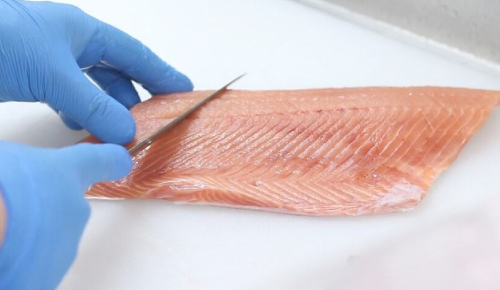 魚の仕込みをする写真