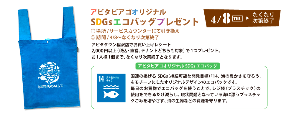 SDGsエコバッグプレゼント