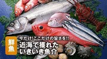 鮮魚 今だけ！ここだけの旨さを！！近海で獲れたいきいき魚介